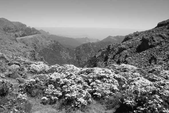 The View to the Danakil